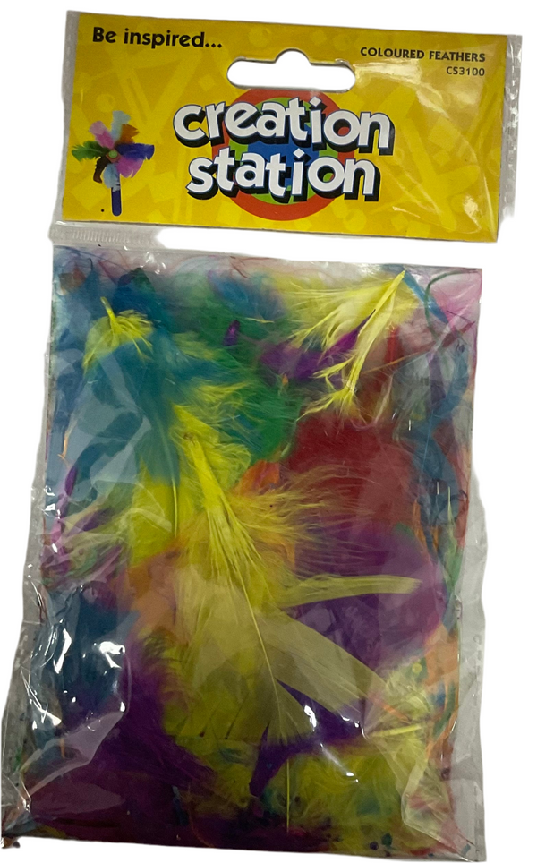 COLOURED FEATHERS CREATION STATION