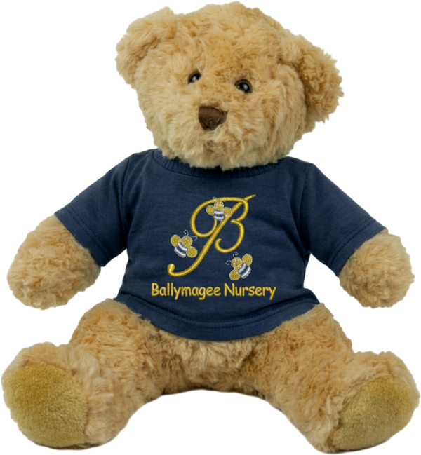 Ballymagee Nursery Teddy Bear