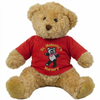 St Malachys Nursery Teddy Bear