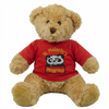 St Malachys Playgroup Teddy Bear