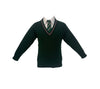 RATHMORE P.S. JUMPER (HUNTER)