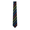 BLOOMFIELD P.S. TIE