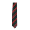 REGENT GIRLS 6TH FORM TIE