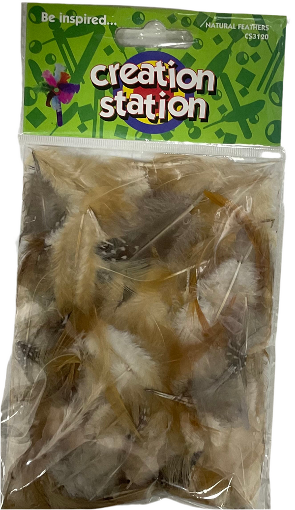 NATURAL FEATHERS CREATION STATION