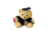 MUMBLES GRADUATION BEAR