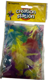 COLOURED FEATHERS CREATION STATION