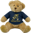 Ballymagee Nursery Teddy Bear
