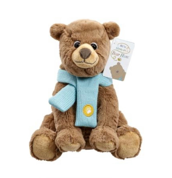 WE'RE GOING ON A BEAR HUNT SOFT TOY