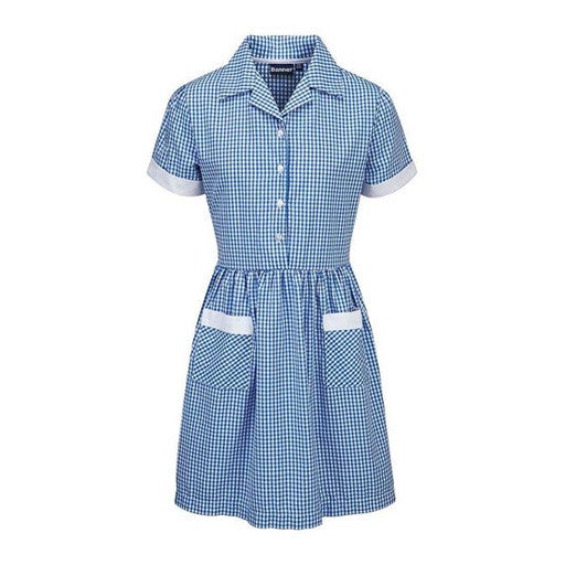 NAVY GINGHAM SUMMER DRESS