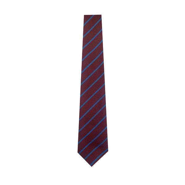 BALLYVESTER P.S. TIE