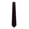 REGENT HOUSE BOY TIE